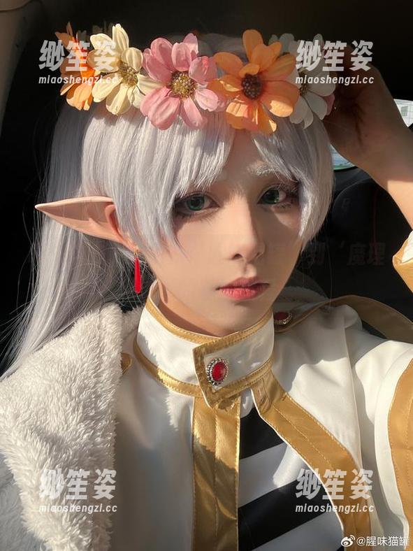 腥味猫罐 喵来喵去,美图从‘腥味猫罐’到‘魔理沙’的奇妙旅程