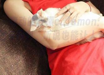 青豆客 – 舞动的柠檬c_lemon：运动时光的原图与图包，听说也能让人变得更加‘青春’！